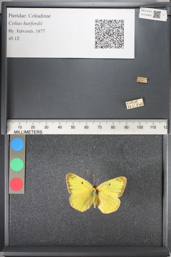 Media type: image;   Entomology 124408